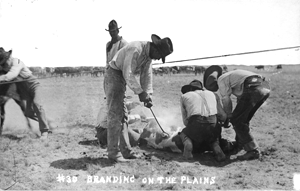 Branding on the Plains